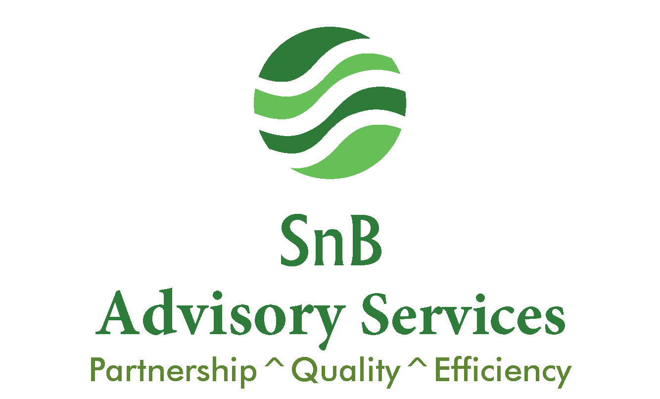 SnB Chartered Accountants Logo